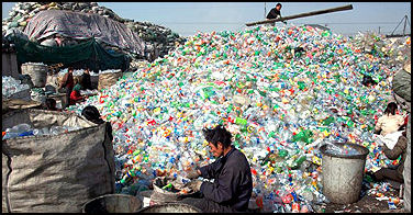 20080317-migrant workers sort recycled waste, guardian, env news.jpg